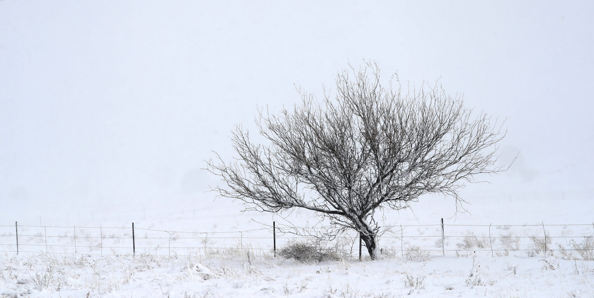 Snow